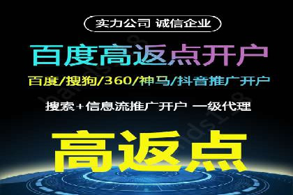 网络营销新篇章：竞价推广案例分析